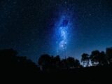 The night sky with stars and trees in the foreground