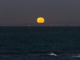 Gorgeous view of a full moon rising over the ocean near Sydney, creating a serene and enchanting seascape.