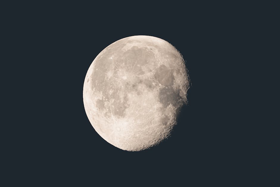 Misja Apollo 11: Prawdziwa historia lądowania człowieka na Księżycu.