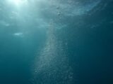 Peaceful underwater scene with sunlight and streaming bubbles in the ocean.