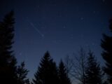 A night sky with trees and a shooting star