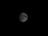 The moon is visible in the dark night sky.