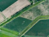 Overhead view of green and brown agricultural fields.