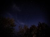 green trees under blue sky during night time
