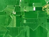 Stunning aerial view of geometric agricultural fields in Punjab, India.