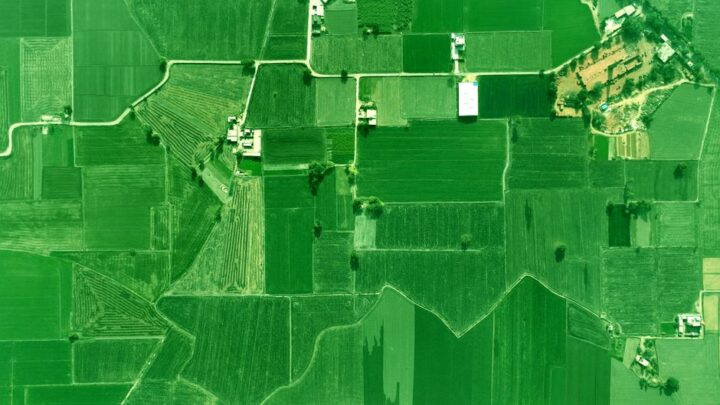 Polskie satelity dla rolnictwa i leśnictwa: Jak mikrosatelity monitorują uprawy i zdrowie lasów w Polsce?