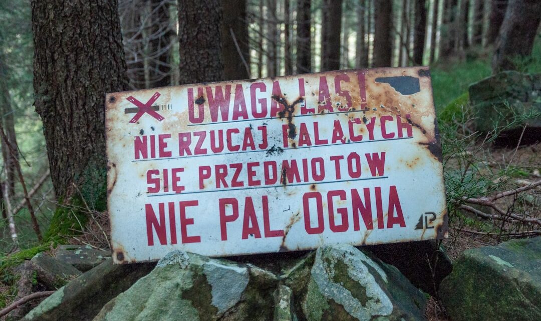 Tajemnice gejzerów na Europie: Czy słupki wody z księżyca Jowisza są dowodem na życie pod lodem?