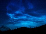 silhouette of trees under blue sky